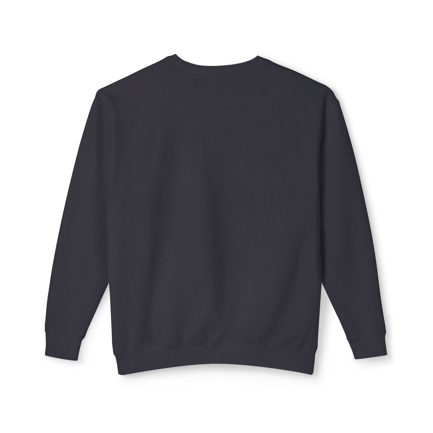 Ptahra Apparel Trendy Lightweight Crewneck Sweatshirt - Perfect for Everyday Wear, Cozy Lounging, Casual Outings, Gift for Her/Him, Fashion Staple